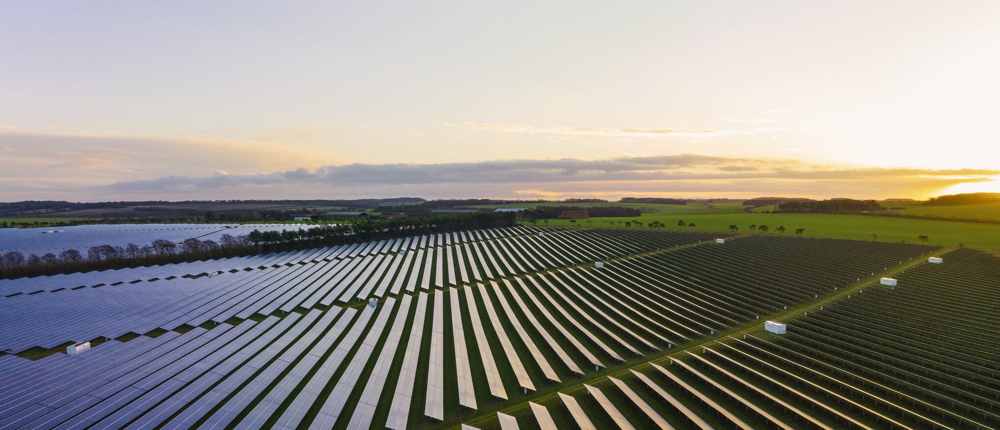 Abstract aerial/drone view over a field of solar panels at sunrise